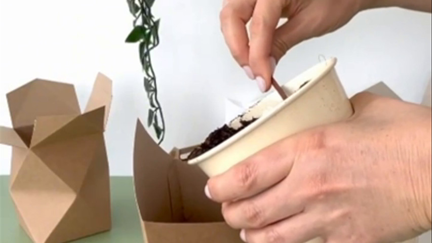 Cajas para regalar plantas