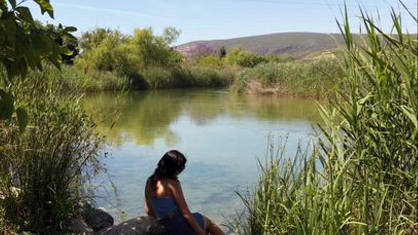 Una mañana en el rio.