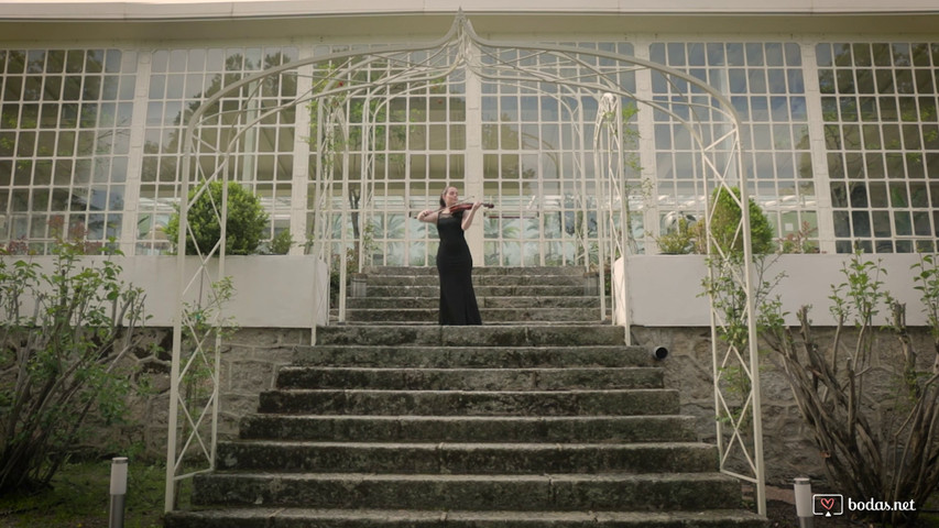 Gala Violín