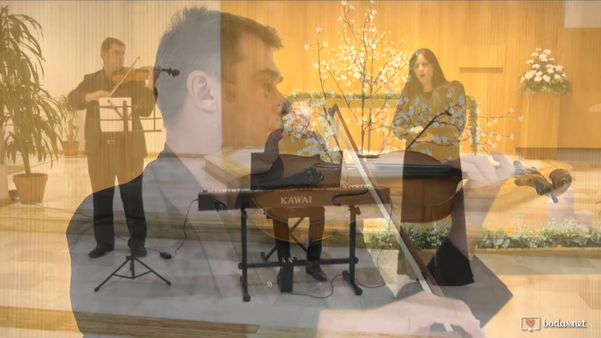 Trio. Ave Maria. Franz Schubert.