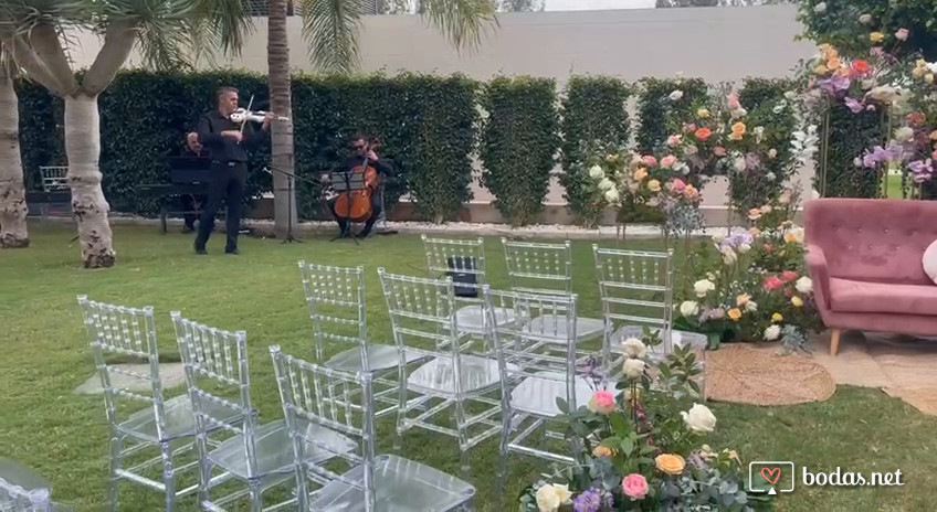 Cant help falling in love. E.Presley.