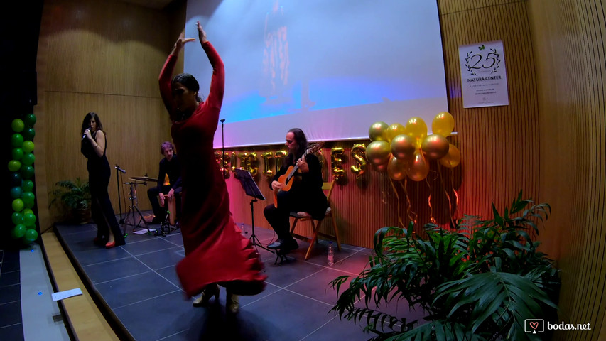 Flamenco fusión con baile