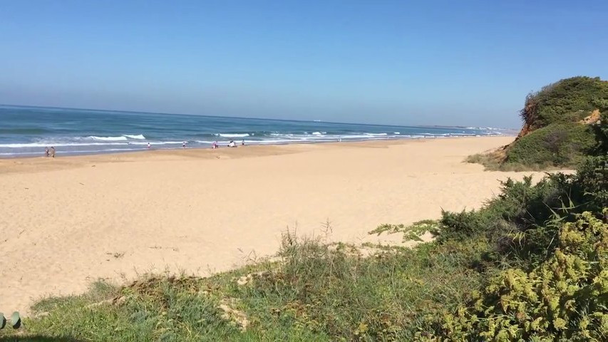 Sonorización de ceremonias en la playa