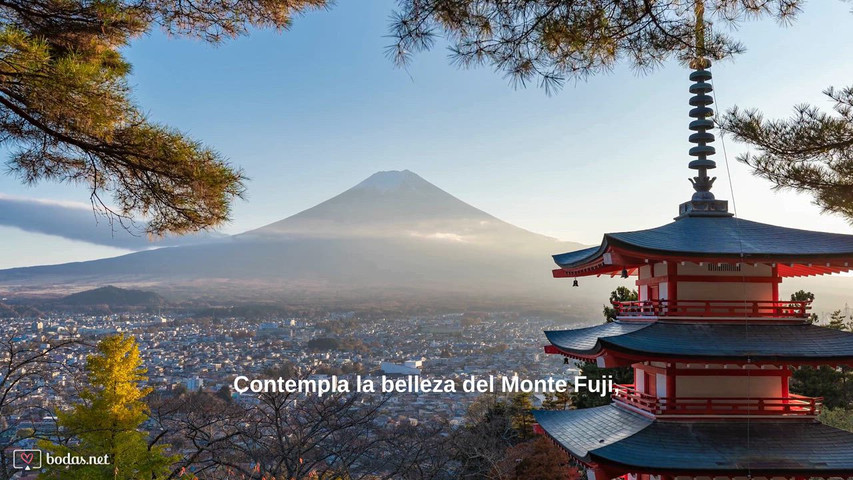 Luna de miel en Japón: un viaje inolvidable entre tradición y modernidad