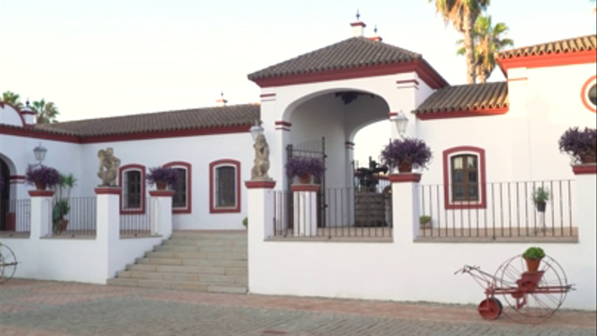 AV Estudio Creativo