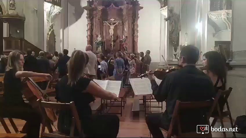 Gladiator