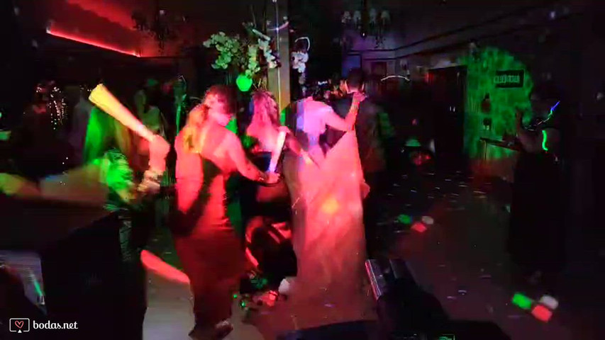 Boda paloma