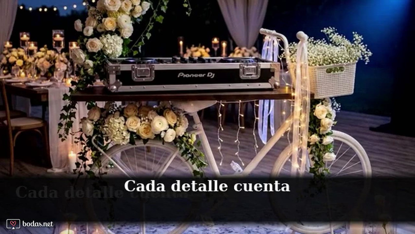 Dreamwebmedia nupcial