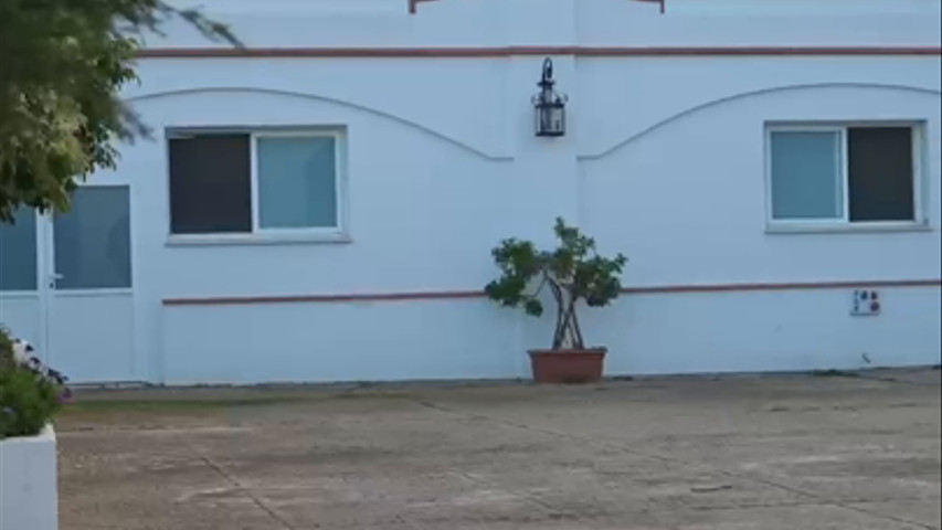 Presentación Hacienda Dehesa El Palmitero