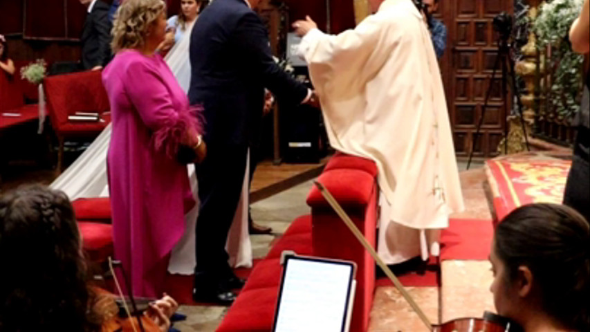 El rey león