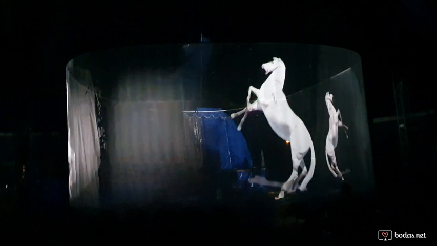 The hologramas shows animals