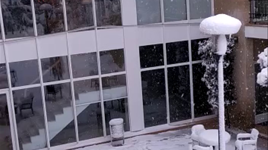 Jardín nevado