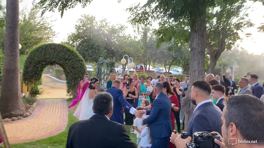 Bodas 2024