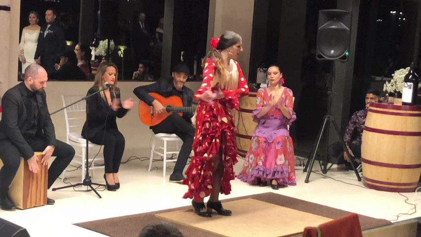 Espectáculo flamenco