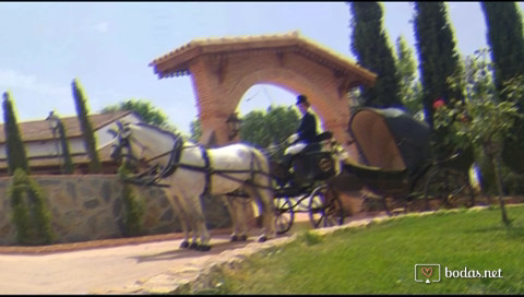 Coches de caballos Jesús Campos 