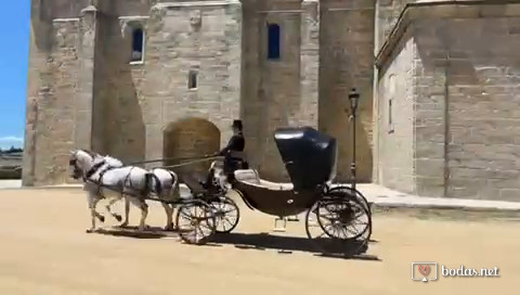 Coches de caballos Jesús Campos 