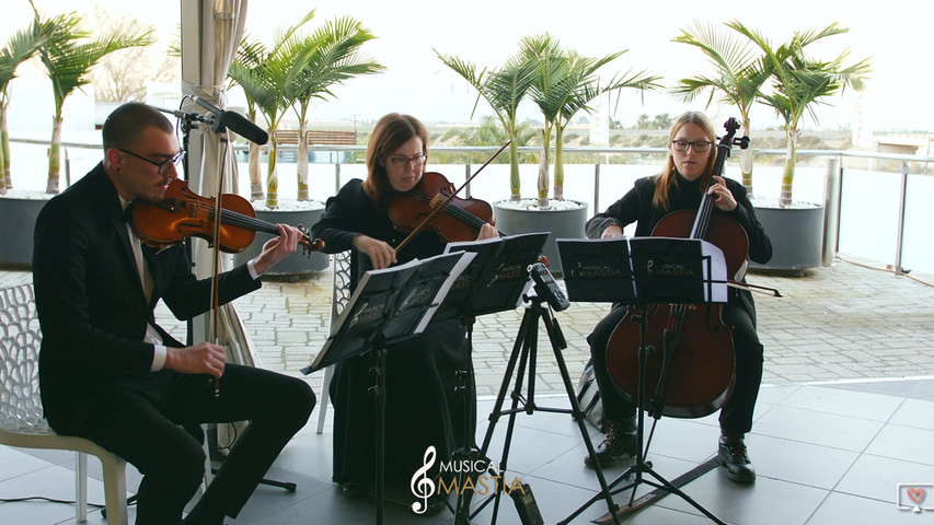 Música para bodas en Murcia