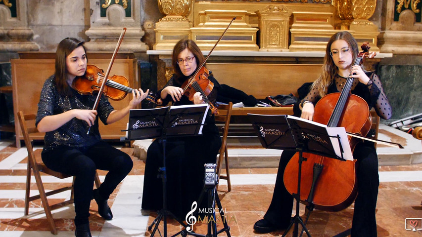 Grupos musicales en Cartagena 