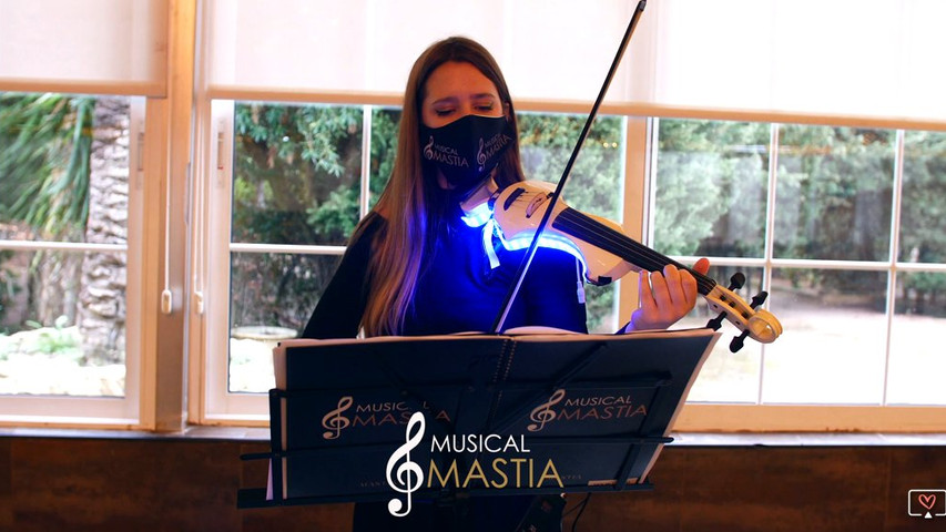 Violinista eléctrico