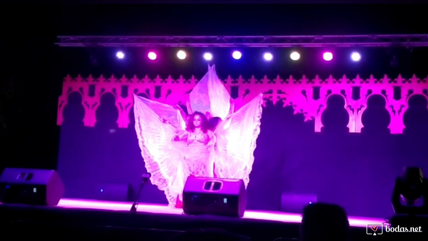 Compañía La Danza del Sur