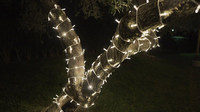 Luce tu Boda Hacienda de Aragón
