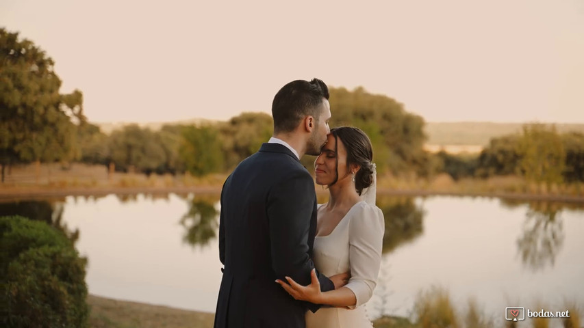 Weddings recap 2024