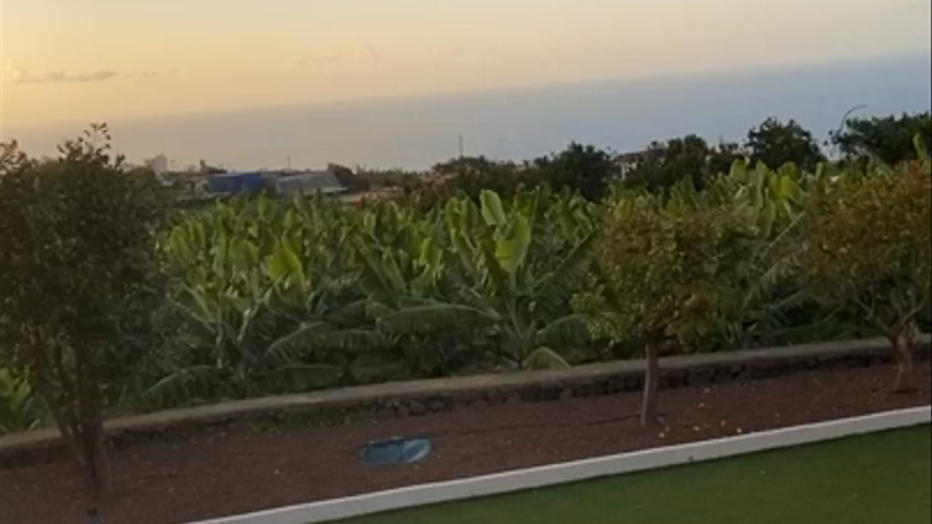 Jardines