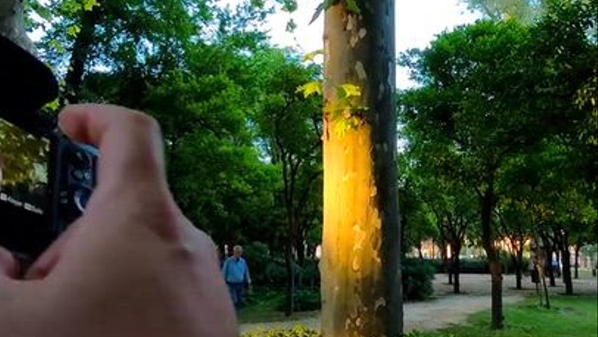 Preboda en Plaza de España: una tarde para empezar a contar vuestra historia