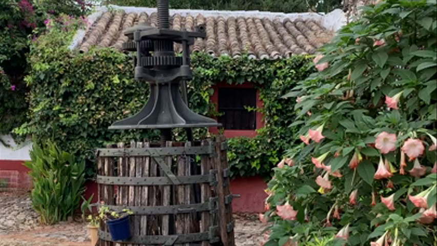 Hacienda Guadalete