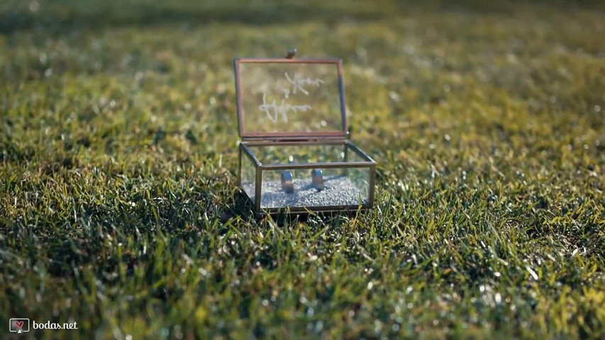 Fix You | Piano y voz en directo