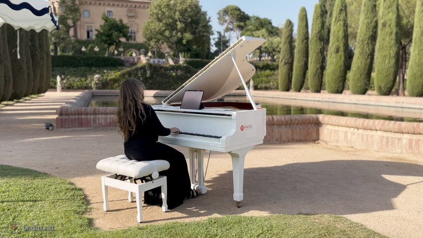 Thinking Out Loud | Piano en directo para cóctel