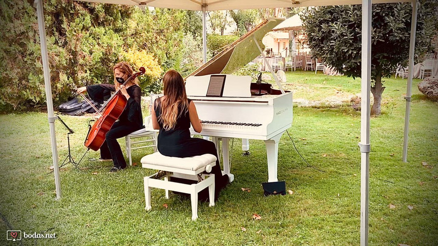 A Thousand Years | Piano y cello en directo