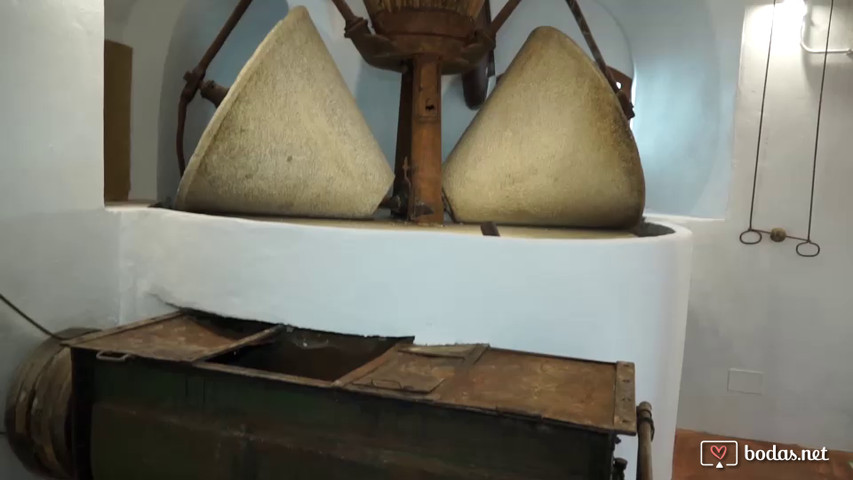 Video  Almazara 