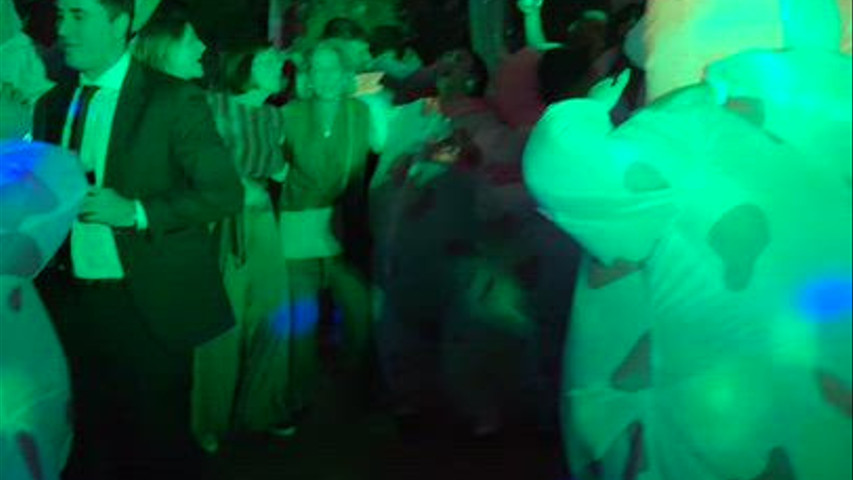 Boda C&D
