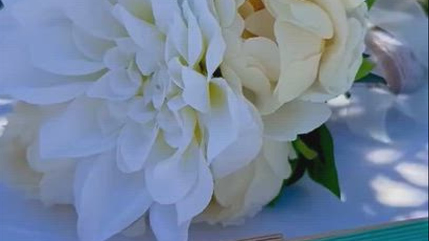 Abanico detalles