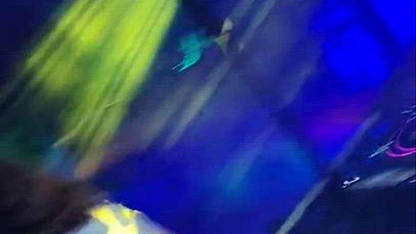Dj Edu BM