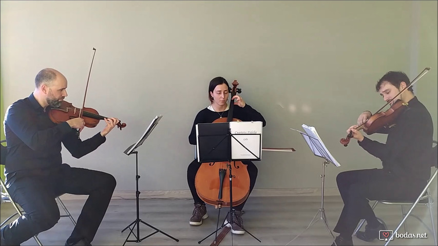 Cuarteto Fidelio - Sweet Child O'Mine