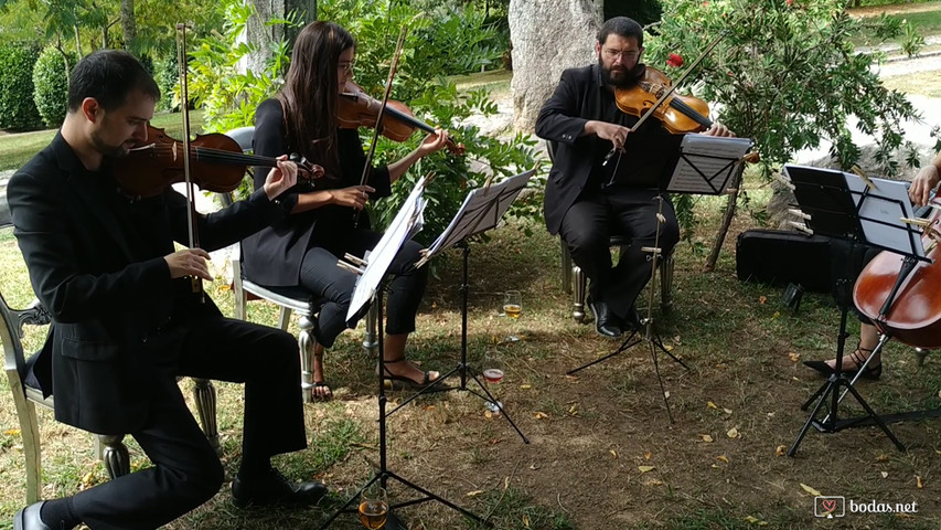 Cuarteto fidelio - Sweet Child o' Mine (directo)