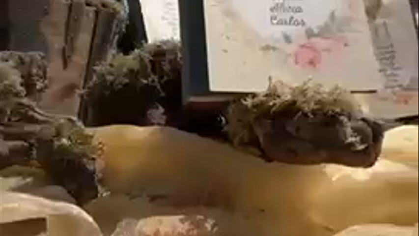 Restaurante El Poblet