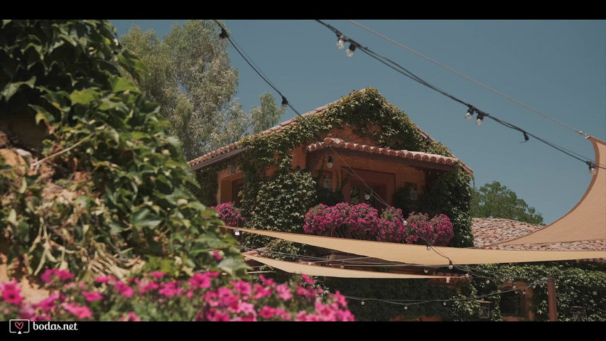 Trailer O+N