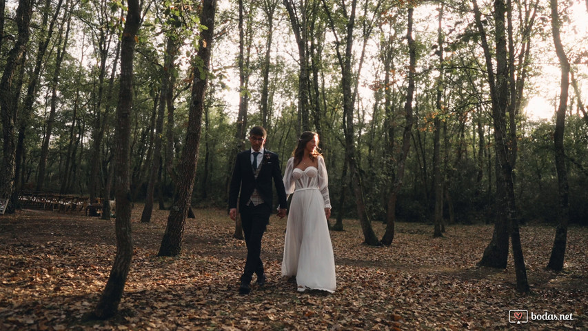 Resumen de bodas 