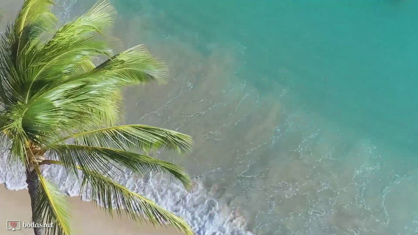 Donde quieras ir te llevamos!