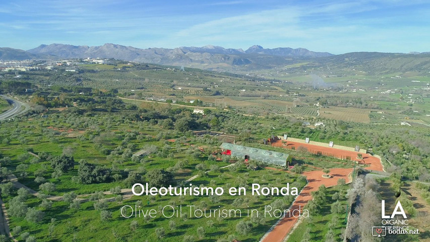 Nuestra finca LA Organic en Ronda