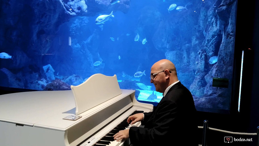 Bajo del mar - Piano y violín