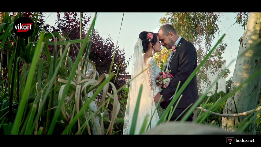 Día de la boda