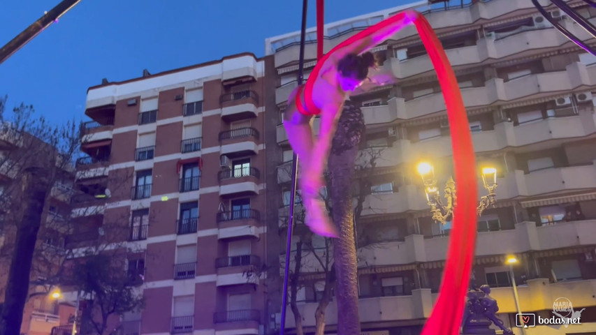 Circo en tu boda