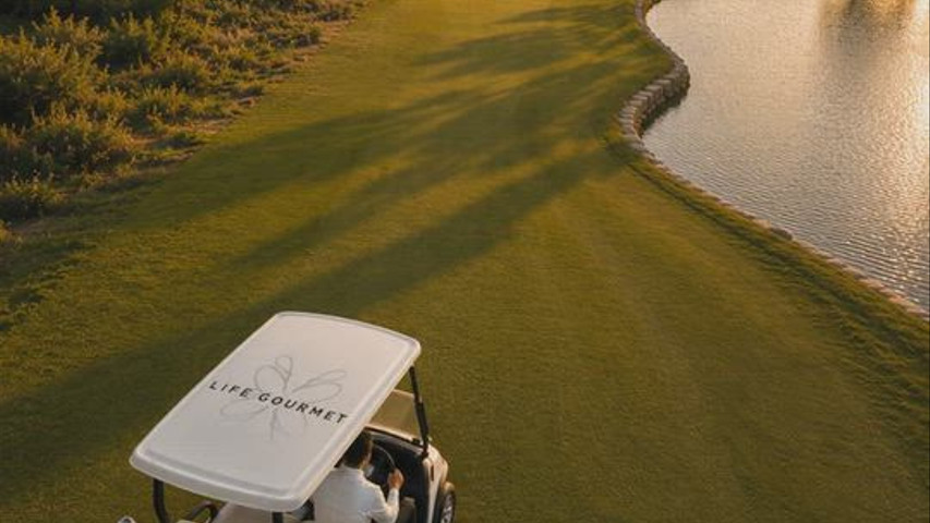 VIDEO BUGGY LIFE GOURMET