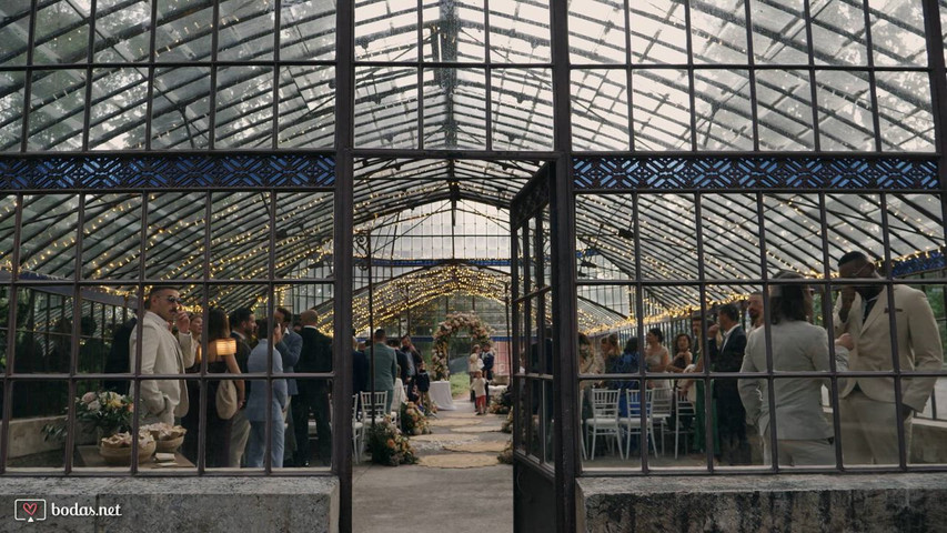 Mira Photography
