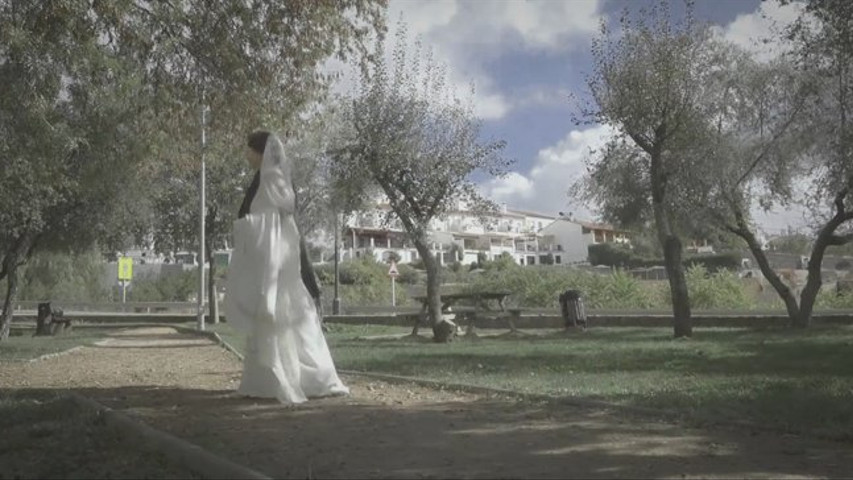 Trailer de bodas