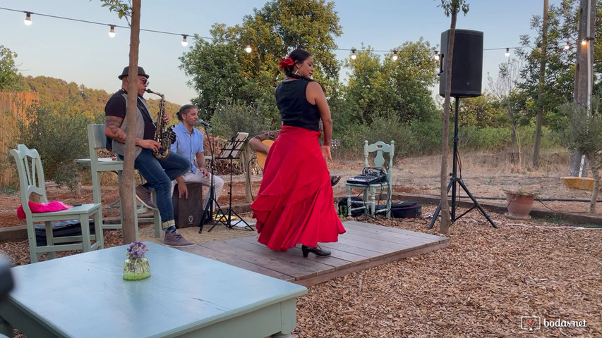 Ismael Rodríguez - Flamenco show